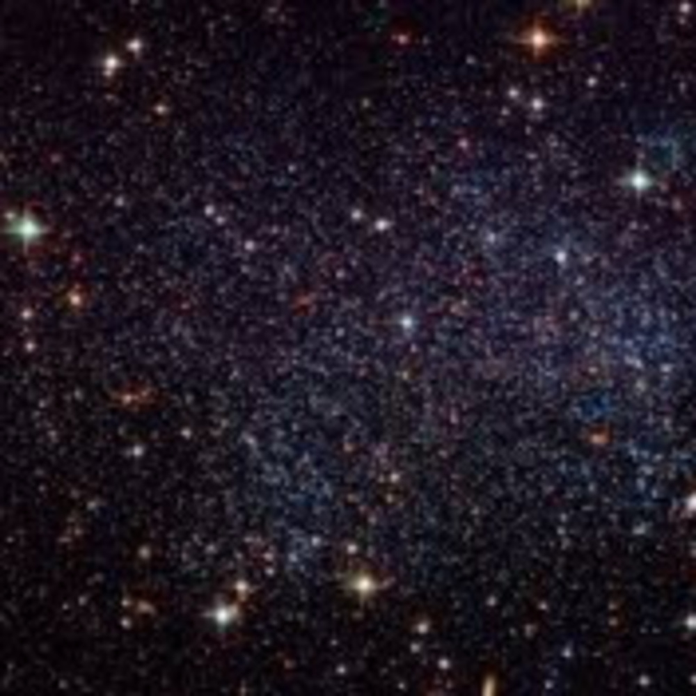 Meet your Posher, Melanie